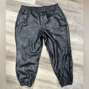 Women’s Plus Size Black Pleather Pants Size 2X
